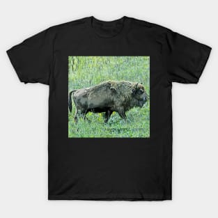bison T-Shirt
